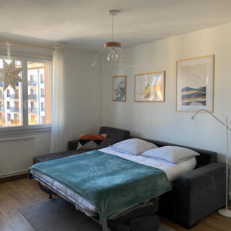 Appartement Cosy Proche Du Centre Анси Экстерьер фото